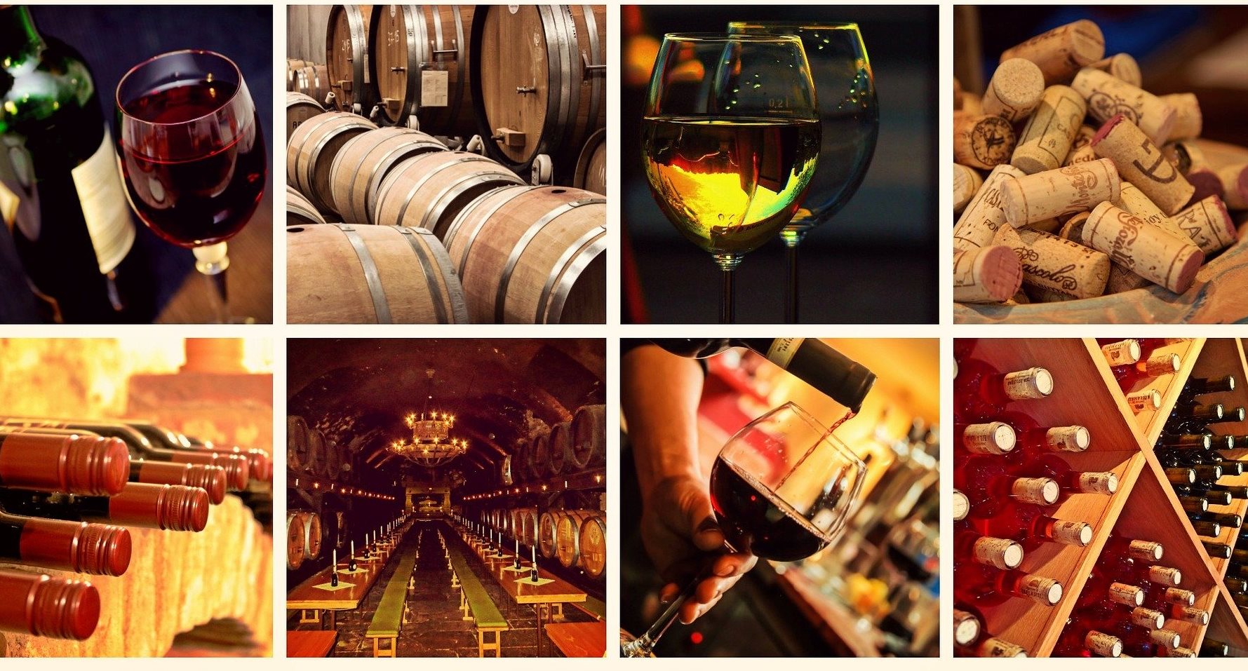 Newsletter n.&ordm; 71 - Foto 2